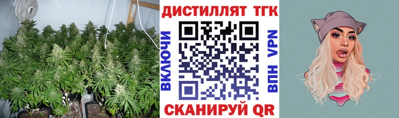даркнет сайт  mega tor  Дистиллят ТГК THC oil  Светлый 